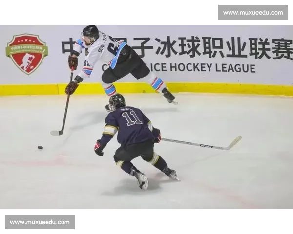 沈阳赛站 8 进 4 开战！黄金赛场静待四强