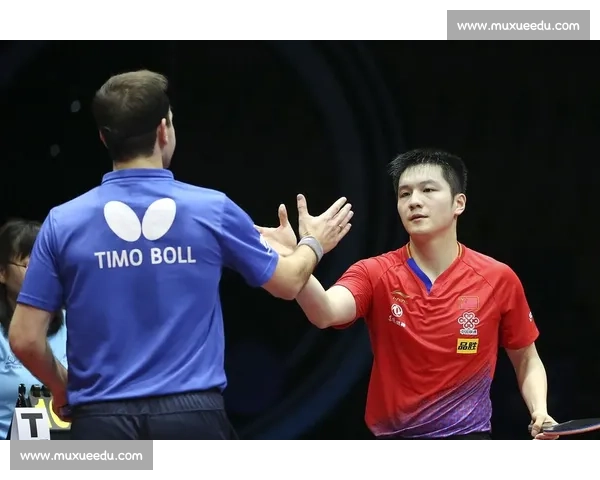 紫气东来！樊振东携上海紫战袍冲金，利好藏深意