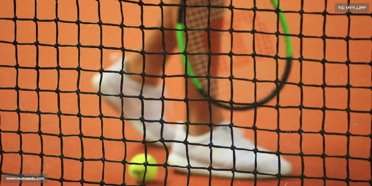 <strong>彩神</strong>🔥点燃运动激情，拥抱健康生活！你的体育故事，从点击开始书写～