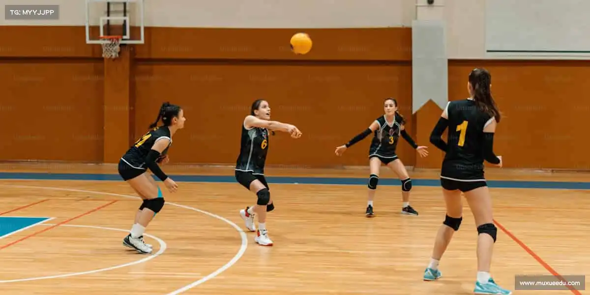 我们的品牌价值